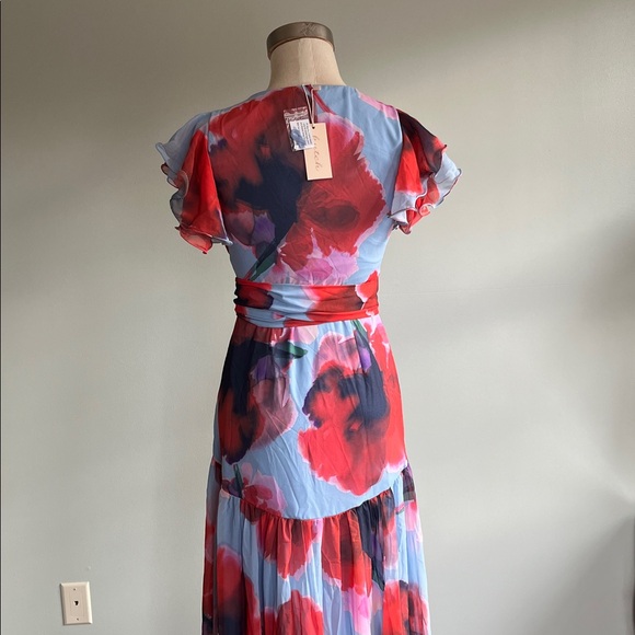 Anthology HUTCH ZOLA FLUTTER-SLEEVE WRAP MAXI DRESS - Picture 10 of 12